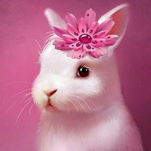 Meet your Posher, Jasenia